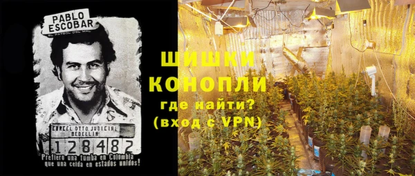 PSILOCYBIN Осинники