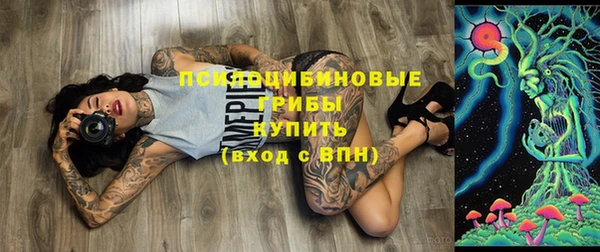 прущий лед Пестово