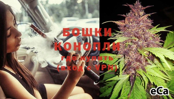 PSILOCYBIN Осинники