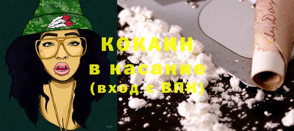 PSILOCYBIN Осинники