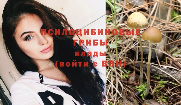 прущий лед Пестово