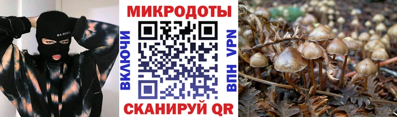Галлюциногенные грибы GOLDEN TEACHER  Белоярский 